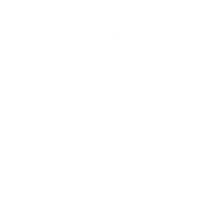 TripAdvisor Certificate of Excellence icon